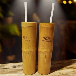Set Of 2 Disney Cruise Line Bamboo Tumbler w/Lids & Straws Tiki Insulated